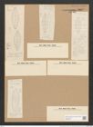 Rhoikoneis superba Cleve (de-Toni-Nr.: Genus 3, Species 849) Zeichnungen Sammlung Grunow Nr. 1682 (NHMW-BOT-W0368544)